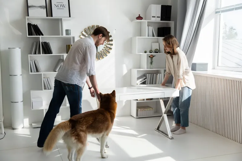 Walls That Can Take It: Choosing Paint and Wallpaper When You Share Your Home With Pets