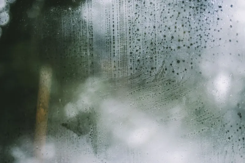The Cold Truth About Wallpaper and Window Walls in Northern Ireland